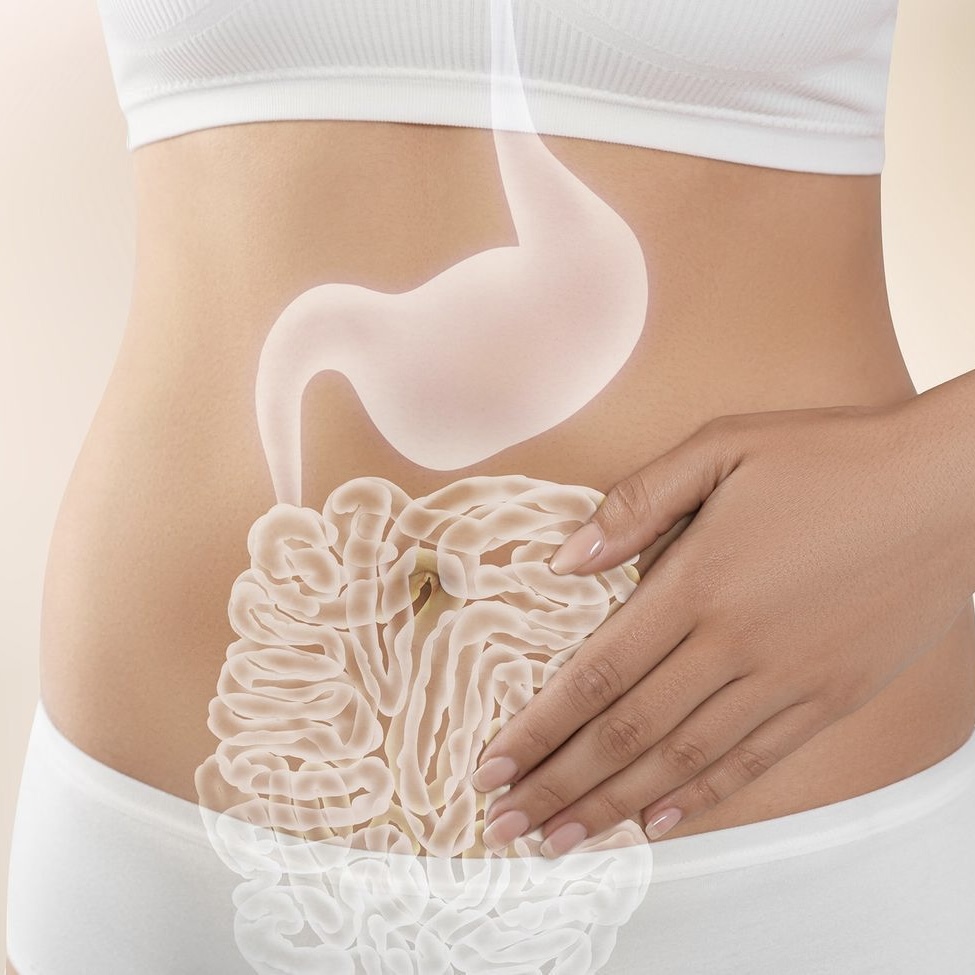 Modulação Intestinal