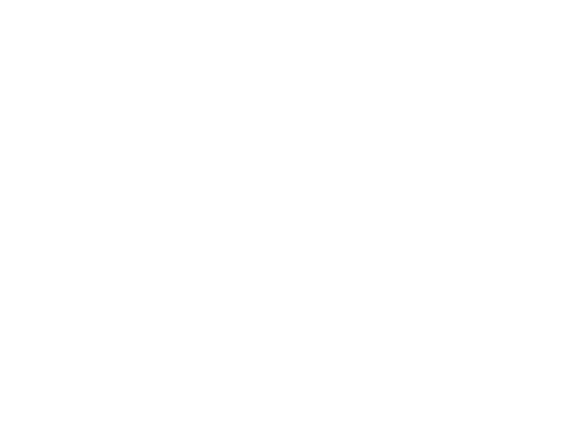 Vida Instituto